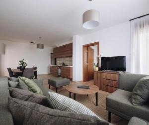 弗尔尼亚奇卡矿泉镇Pegaz Holiday Resort的客厅配有两张沙发和一台电视机