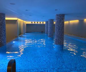 弗尔尼亚奇卡矿泉镇Pegaz Holiday Resort的客房内的大型游泳池配有蓝色的灯光