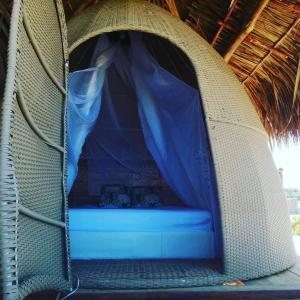 San OnofreGlamping UVA Playa的 ⁇ 花屋,里面是蓝色窗帘