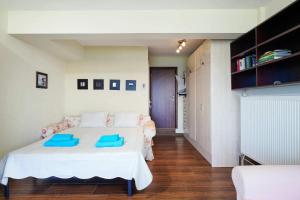斯卡拉卡里拉奇斯Giotas Sea View Apartment的一间卧室配有一张带蓝色枕头的床。