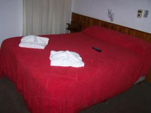 维拉卡洛斯帕兹阿罗哈宾馆的一间卧室配有红色的床和毛巾