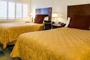 旧金山渔人码头旅程住宿的酒店客房配有两张床和一张书桌