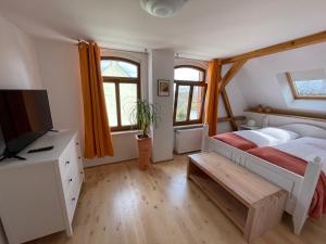 萨勒河畔哈雷Maisonette Salzknecht的一间卧室设有一张床、一台电视和窗户。