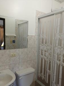 巴克里索莫雷诺港Hostal La Casa de Luis的带淋浴、卫生间和盥洗盆的浴室