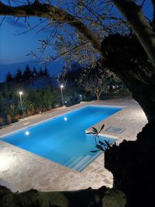 博古梅尔CASA DEL CANTA的夜间大型蓝色游泳池