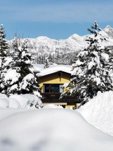 蒂罗尔-泽费尔德The Seefeld Retreat - Central Family Friendly Chalet - Mountain Views的树前的雪覆盖的房子