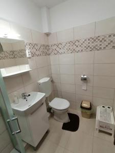 萨尔瓦尔Joós Apartman的一间带卫生间和水槽的小浴室