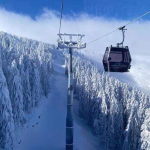布尔泽策Bele staze Kopaonik z的空中的滑雪缆车,有雪覆盖的树木