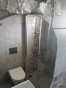 普拉基亚斯Studio Manousos的一间带卫生间和玻璃淋浴间的浴室