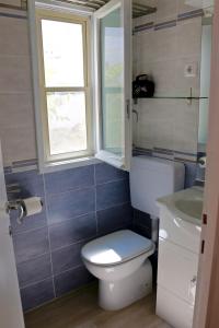 泰尔泰尼亚Sardinia MongaHouse的一间带卫生间、窗户和水槽的浴室