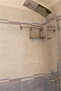 泰尔泰尼亚Sardinia MongaHouse的浴室设有蓝色和白色瓷砖淋浴。
