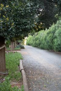布隆方丹Bel Tramonto的一条土路,上面有树木和灌木