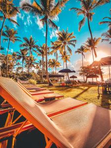 普拉亚埃斯佩洛Maion Hotel e Boutique的棕榈树海滩上的一排吊床