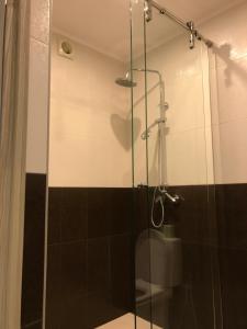 派蒂哥斯卡Guest house Forest的浴室里设有玻璃门淋浴