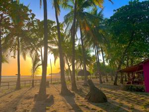圣卡塔利娜岛Hotel Oasis & Surf Camp的海滩上一群棕榈树,日落