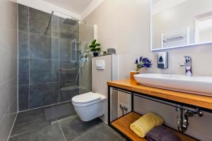 罗维尼Apartment & Rooms Graciela的一间带水槽、卫生间和淋浴的浴室