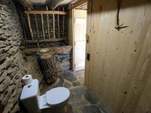 AreuBordes Pirineu, Costuix的一间带卫生间和石墙的浴室