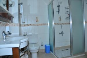 锡德Aquarius Hotel的带淋浴、卫生间和盥洗盆的浴室