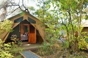 ChobeMuchenje self-catering Tents的森林中间的小帐篷