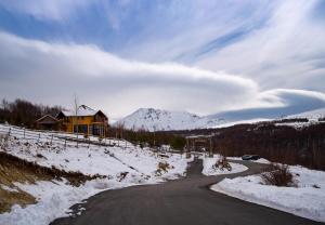 普里兹伦N'Bjeshke te guri i zi的雪中的道路,有房子和山