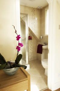 牛津诺亚住宅酒店的一间带卫生间的浴室和一个植物花瓶