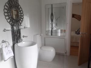 BishamptonThe Cobblers Bed and Breakfast的一间带卫生间、水槽和镜子的浴室