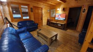 UzlinaCasa Agapie的客厅配有蓝色真皮沙发和电视