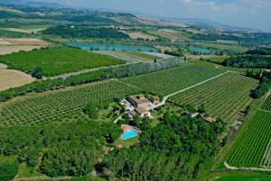 泰里乔拉塞维诺Il号农家乐的享有葡萄园的空中景致,设有房屋和湖泊