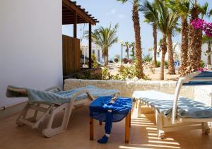 CabeçadasSea view houses, Praia de Chaves, Boa Vista, Cape Verde, FREE WI-FI的一个带椅子的庭院、一个游泳池和棕榈树