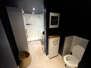 波尔多Charmant et spacieux studio (T1bis) - Bordeaux, Chartrons的一间带卫生间和淋浴的小浴室