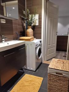 特罗姆瑟Meilbo Tromsø的厨房配有洗衣机和水槽
