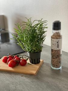 瓦萨NO:4的瓶装调味料,紧贴盆栽植物和西红柿