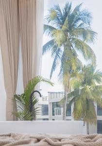 三亚三亚栖山民宿的从酒店客房可欣赏到棕榈树的景色