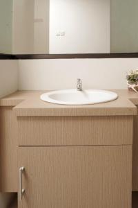 梭罗迪帕拉贡曼都罗旅馆的浴室的柜台设有水槽和镜子