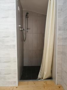 斯培西亚In campagna的带淋浴和浴帘的浴室