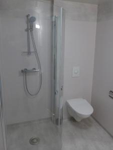 泰于Lilland Hostel Tau的带淋浴和卫生间的白色浴室