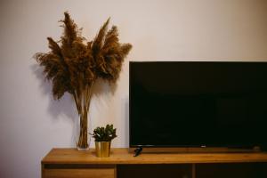 斯拉沃尼亚布罗德Apartman Gold的桌子上放置着一台带植物的平面电视