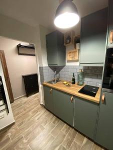 布达佩斯Loft Apartman X. ker.的铺有木地板的厨房配有绿色橱柜