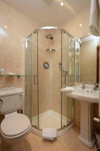 德罗赫达书香别墅酒店的带淋浴、卫生间和盥洗盆的浴室