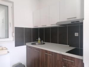 索科矿泉村Apartmani Nana Sokobanja的厨房配有白色橱柜和水槽