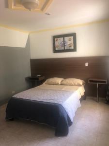 巴拿马城Residencial Alameda的一间卧室配有一张大床和两个枕头
