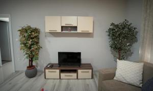克拉多沃Apartman Nastasijevic的一间带电视、沙发和两株植物的客厅