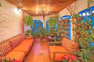 圣何塞Hotel Casa Roland San Jose的一间拥有橙色沙发和盆栽植物的房间