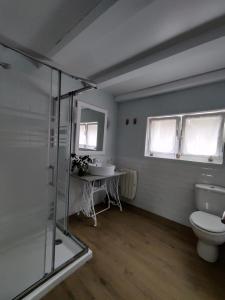 毕尔巴鄂Amets house的一间带卫生间和水槽的浴室