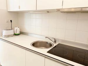 贝尔格莱德缪阿丽娜公寓的厨房配有水槽和台面