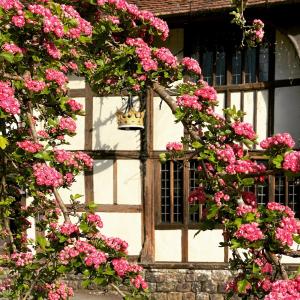 奇丁福尔德皇冠客栈的开有粉红色花卉的大门和窗户