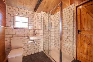 坎特伯雷Oakside Tree Tops的带淋浴、卫生间和盥洗盆的浴室