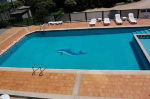 桑亨霍加莱克酒店的游泳池上摆放着海豚纹理