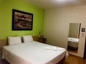 JaguariaívaHotel Dom Thomaz的绿色客房 - 带两张床和镜子