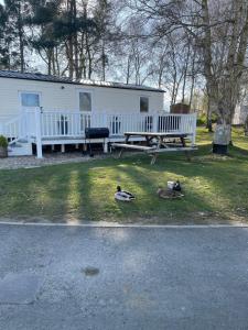 林肯Holiday Home Breaks At Tattershall Lakes的三个鸭子坐在公园长凳旁边的草地上